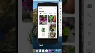 Flutter challenge 