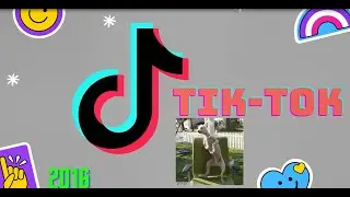 Топ 10 интересных фактов о TikTok'е (ТикТок)