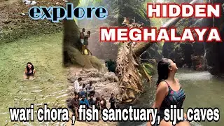 Hidden Meghalaya 5 ft. Wari Chora , Siju Caves and Fish Sanctuary || #toimoitales