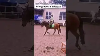 ⚡я всегда онлайн в телеграме - @eqvirey