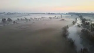 morning fog