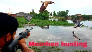 Best birds hunting with pellet gun ||hunting 2022