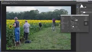 Episode 6 Masking Around Leaves