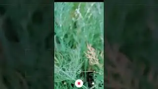 Xiaomi 10pro Süper Makro ile muhteşem detaylar #shorts