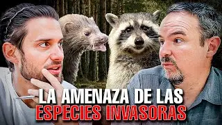 Invasive Species, One Health, Urban Parks | Parrot, Raccoon, Barbary Sheep, etc.