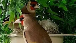 فيديو قديم سنة 2021 💔