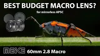 Meike 60mm Macro Lens Review! Is this the best budget lens for APSC Macro?