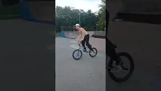 линия в парке