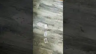 тупо разбрасываю
