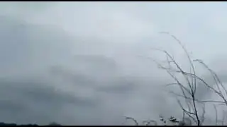 मेरे प्यारे (Pyare soyaveen )तीन  साल से तुन नहीं आये - एक बार जरूर देखे