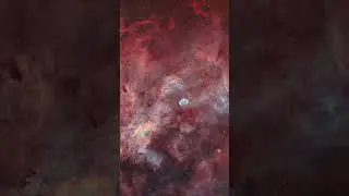 ZWO ASIWEEK Winning Astrophotography & Equipment Sharing - #11 Cygnus