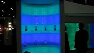 Traxon Mood Lights