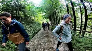 Reichenstein 2019
