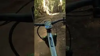 My first real MTB crash... #mtb  #bike #ibiscycles