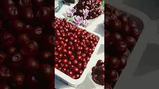 28 марта 2024 г.