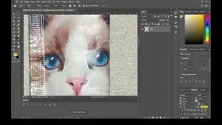 Duplicate an object in photoshop