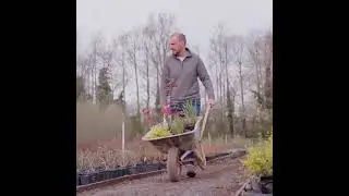 Which plants are good for this time of year? | Gardening Tips with John