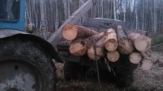 Лтз т-40 /трелёвка хлыстов/погрузка при помощи навески!!!