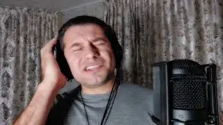 Дмитрий Беседин - Улетели листья (В.Салтыков cover)