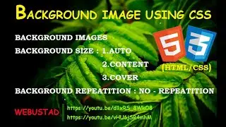 How to insert background image | Background image and color in HTML and CSS using notepad | HTML CSS