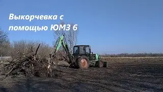 ЮМЗ 6 Экскаватор. Немного кадров о выкорчевке )))