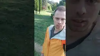 С аллергиков по лайку #лес
