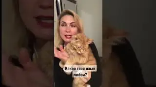 КАКОЙ ТВОЙ ЯЗЫК ЛЮБВИ?😂