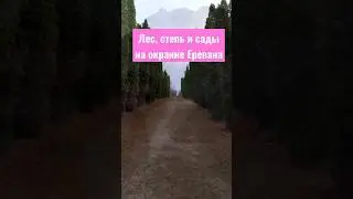 Парк Джрвеж - лес и сады рядом с Ереваном 