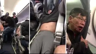 Updates and Reactions to the United Airlines Passenger Incident