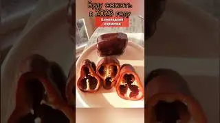 Сорта сладкого перца, которые буду сажать в 2023 году🫑🫑🫑 