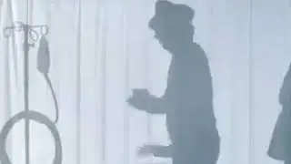 Most Funny Video 2020🤣😂🤣. না দেখলে চরম মিস।🤣😂🤣