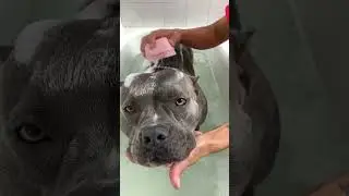 Comer, Dormir e Relaxar - Minha Rotina 