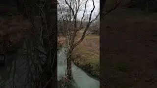 речка в лесу