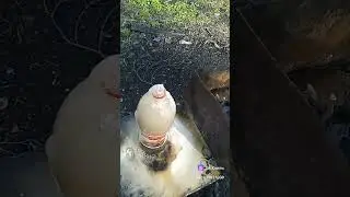 "ПИЗДАТЫЙ ФОНТАН, ИЗ КОЛЫ!"