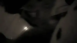 Rex poseído por el diablo terror