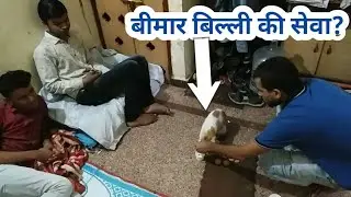 इन युवाओं ने बिल्ली की जिंदगी बचा ली।
