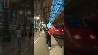#париж #олимпиада #travel #париже #поезд #казахивевропе #казахстан #казашка