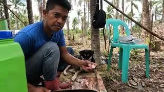 UPDATE SA NIYOGAN