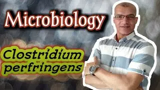 Clostridium perfringens, Pathogenesis, Diagnosis & Treatment