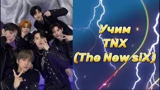 Учим TNX / как различать TNX / учим the new six / TNX как различать / TNX участники