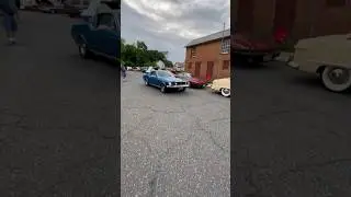 Mustang