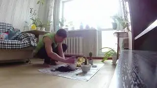 Сажаем кактусы (МОЛНИЕНОСНО!)