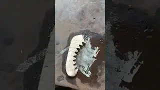 Do-it-yourself gear restoration
