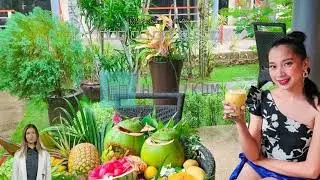 #Review Alona Northland Resort
