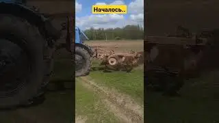 Вспашка огорода трактором  мтз 80 