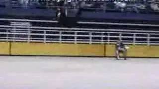 He Jingde 2002 Berkeley Wushu Competition Masters Demo pt 1