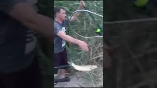 Карпятник Сергей, Валит Амуров#рыбалка#рек#fishing#тренды#рекомендации#реки#роблокс#реки#тикток#таро