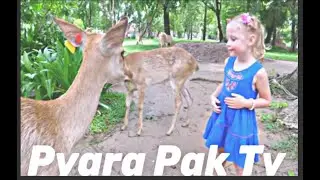 #Doctor slip in the rain#Funny video