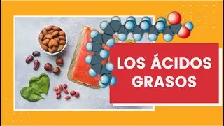 Los Ácidos Grasos