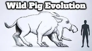 1 Million Years of Pig Evolution on Seed World